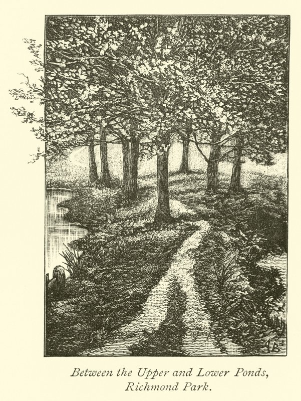 Between the Upper and Lower Ponds, Richmond Park by English School