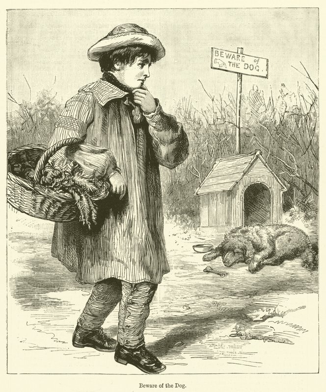 Beware of the Dog by English School