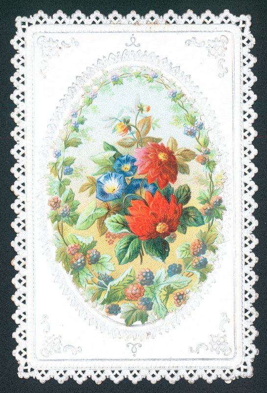 Blackberries and Flowers by English School