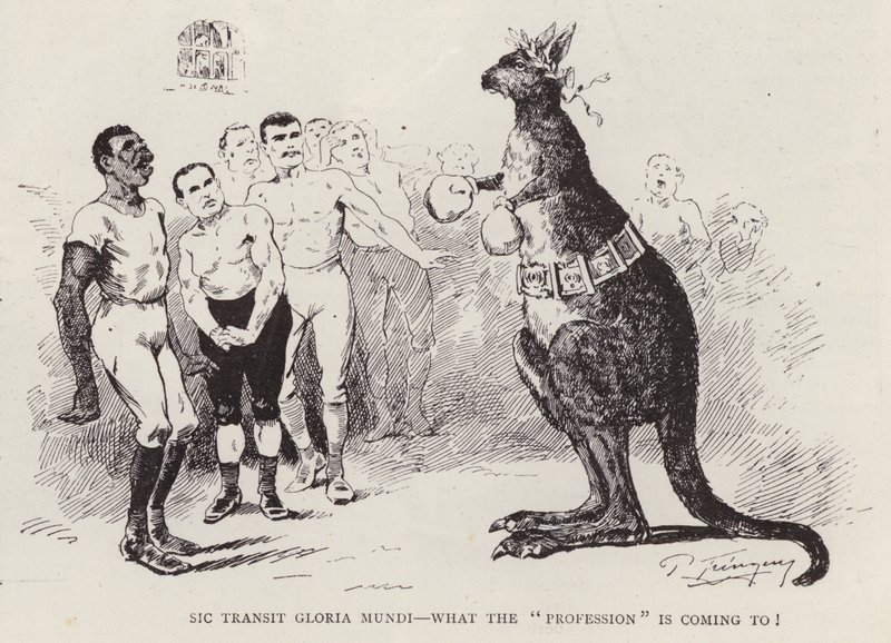 Boxing kangaroo by English School