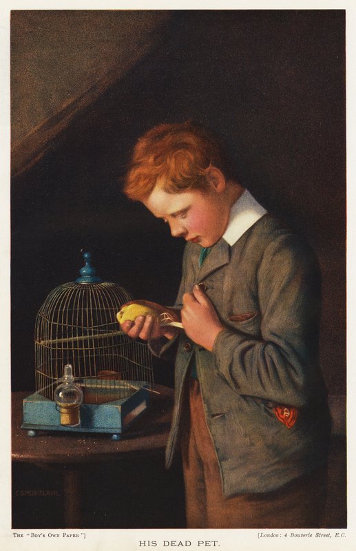 Boy with his dead pet canary by English School