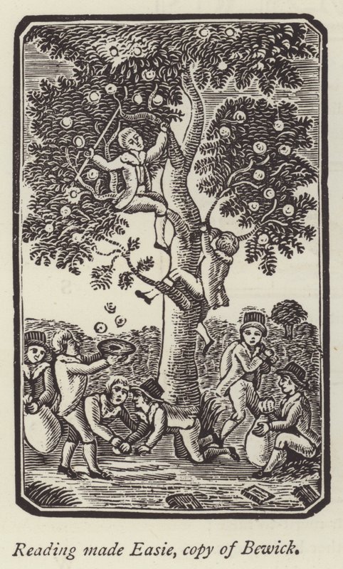 Boys picking apples by English School