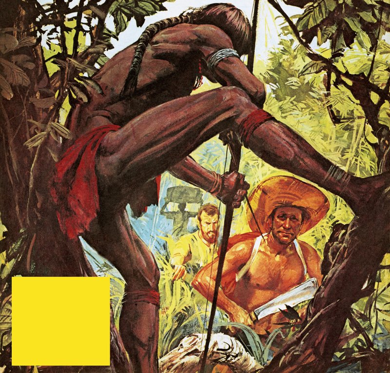 Brazil: The Country Which Hacked a City from the Jungle by English School