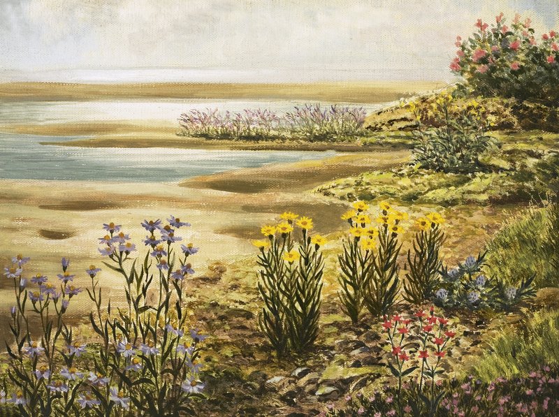 British Salt-Marsh Flowers by English School