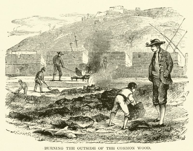 Burning the Outside of the Common Wood by English School