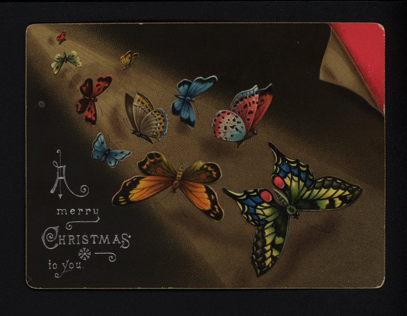 Butterflies, Christmas Greetings Card, Late 19th or Early 20th Century by English School