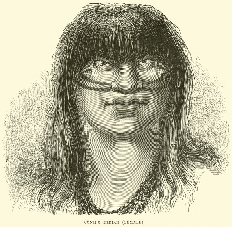 Canibo Indian, female by English School