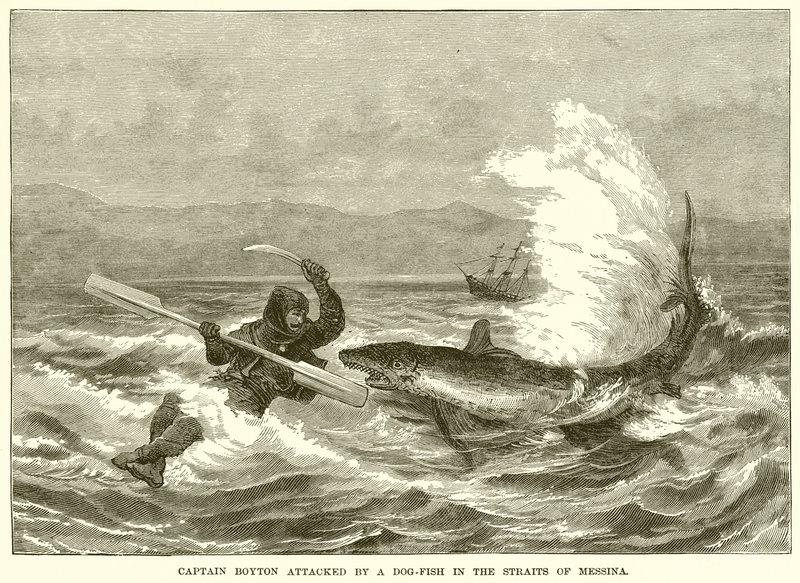 Captain Boyton Attacked by a Dog-Fish in the Straits of Messina by English School