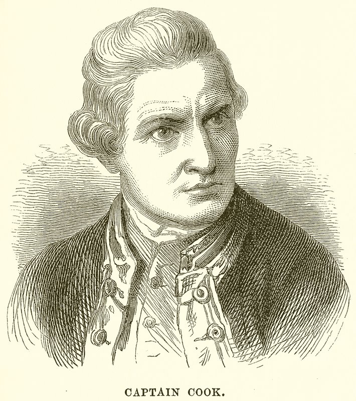 Captain Cook by English School