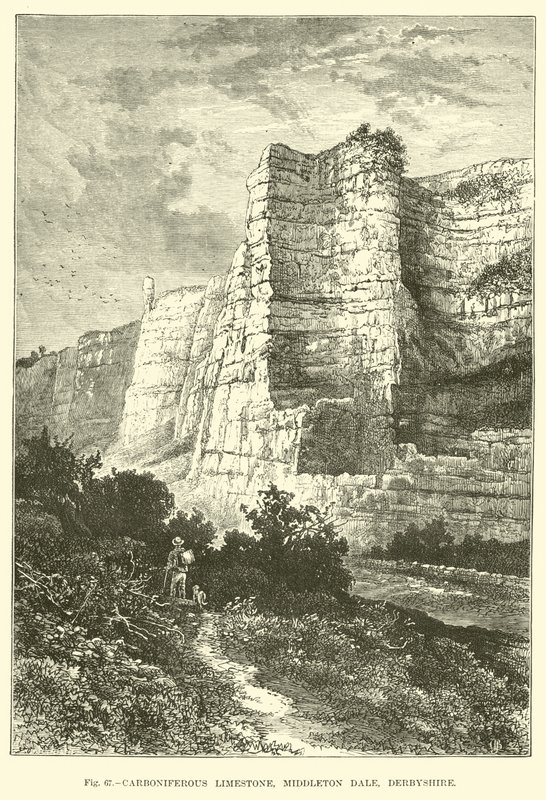 Carboniferous Limestone, Middleton Dale, Derbyshire by English School