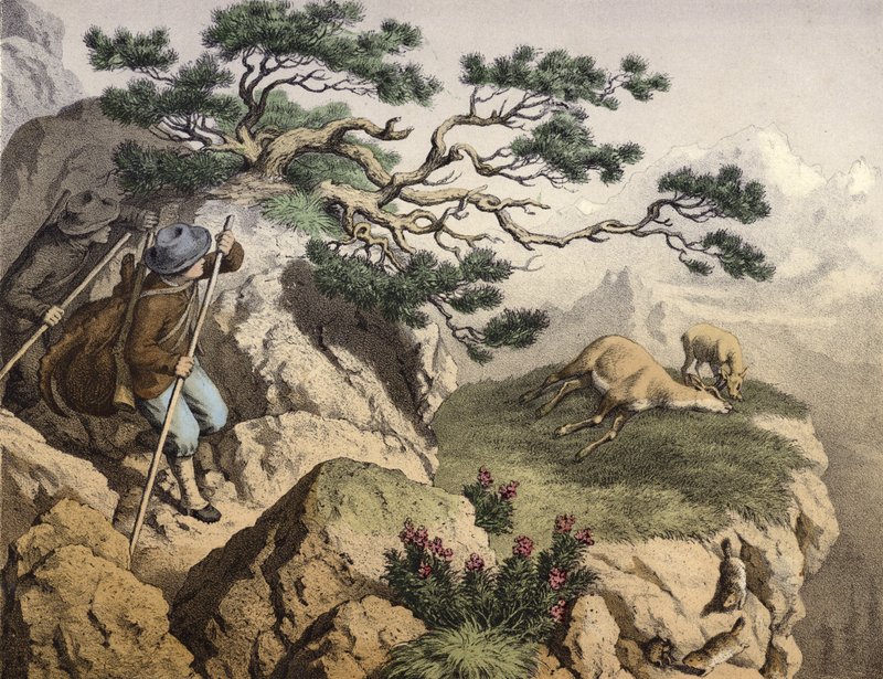 Chamois hunters of the Alps, one carrying an Ibex, a chamois lying dead, near it a fawn, in the foreground some marmots by English School