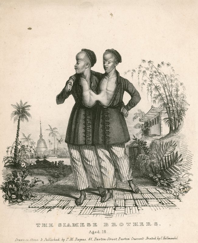Chang and Eng, the Siamese Youths, aged 18 by English School