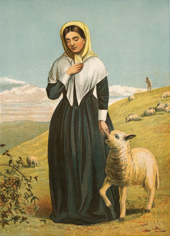 Charity by English School