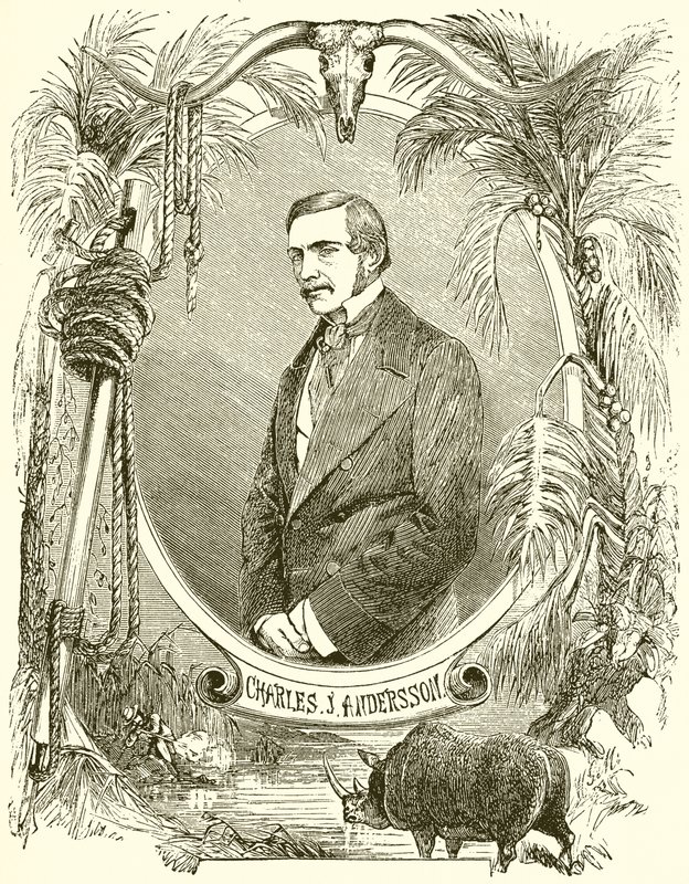 Charles J. Anderson by English School