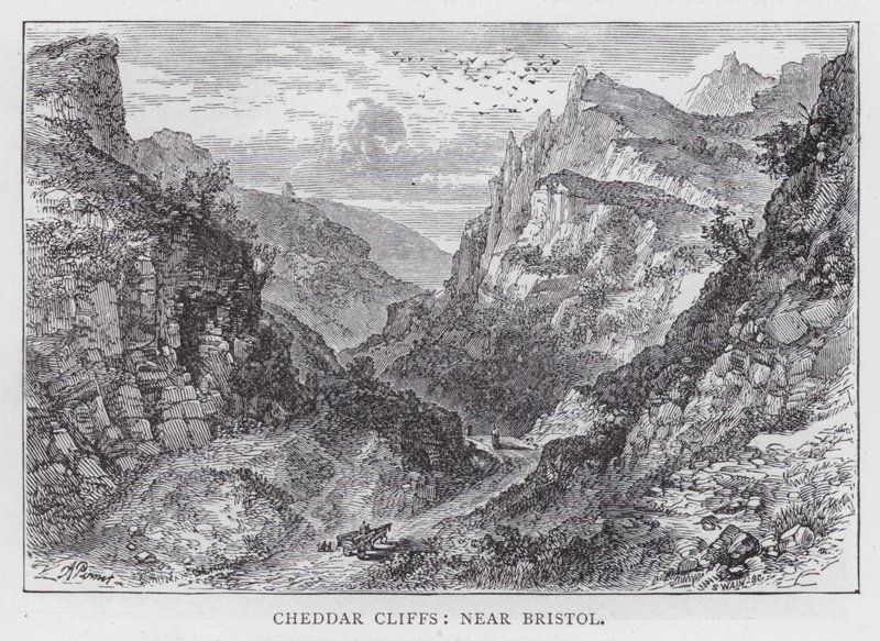 Cheddar Cliffs, near Bristol (engraving) by English School