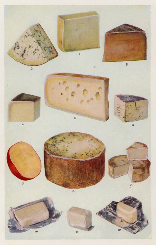 Cheddar; Gorgonzola; Double Gloster; Parmesan; Gruyere; Roquefort; Dutch; Stilton; Camembert; St Ives; Cream by English School