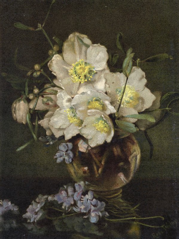 Christmas Roses by English School