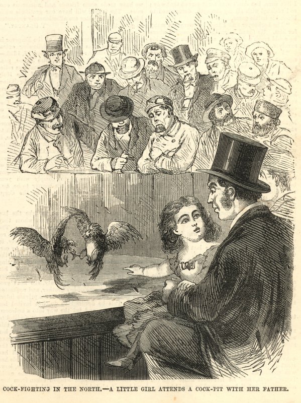 Cock-Fighting in the North by English School