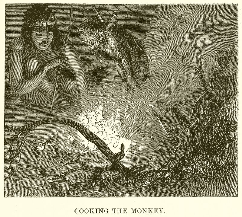 Cooking the Monkey by English School