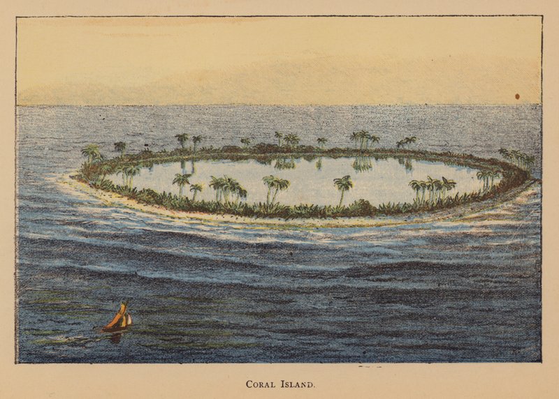 Coral Island by English School