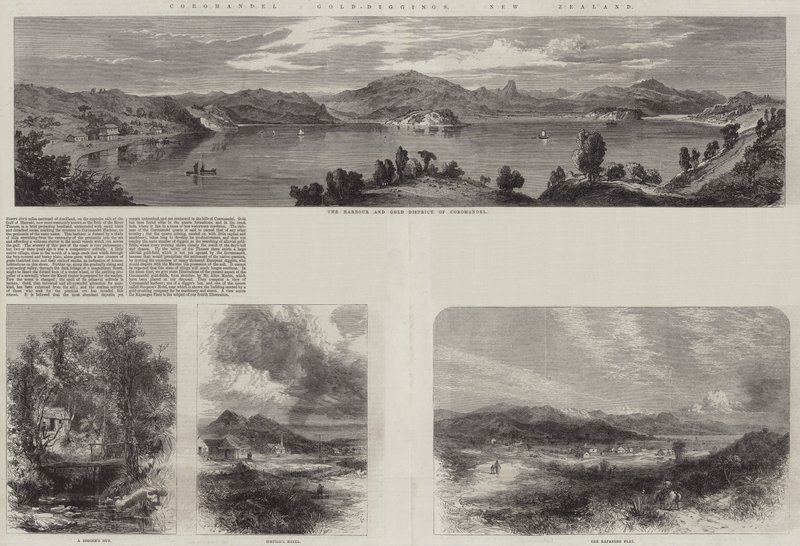 Coromandel Gold-Diggings, New Zealand by English School