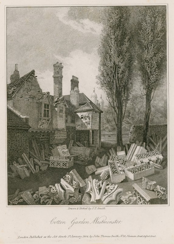 Cotton Garden in Westminster by English School