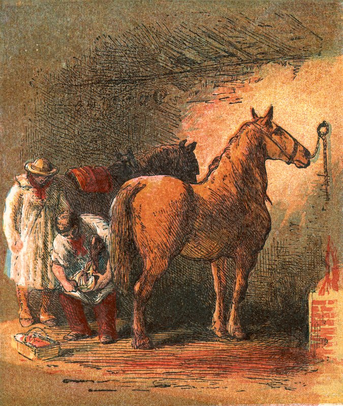 Country blacksmith shoeing the farmer