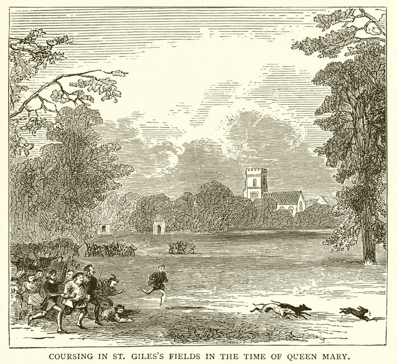 Coursing in St. Giles