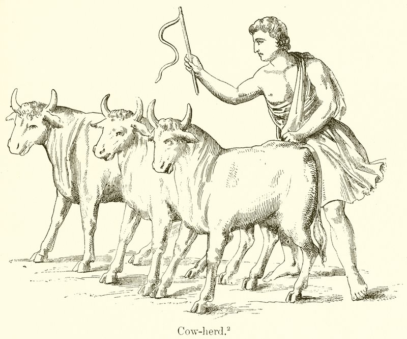 Cow-Herd by English School