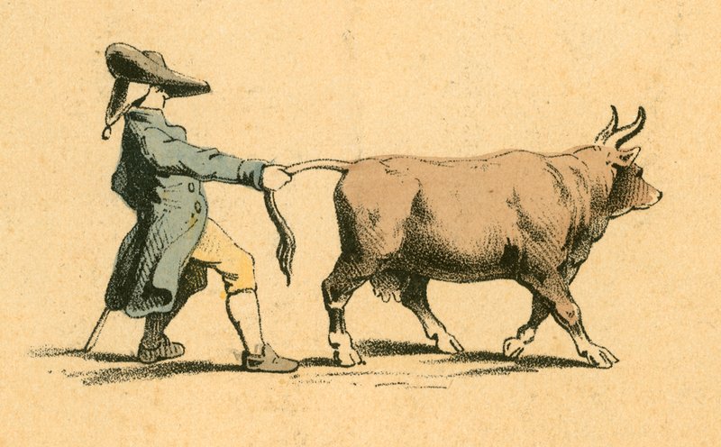 Cow Pulling a Man by English School