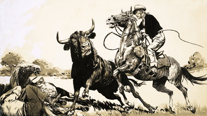 Cowboys in the Australian Outback Try to Rope a Bull by English School