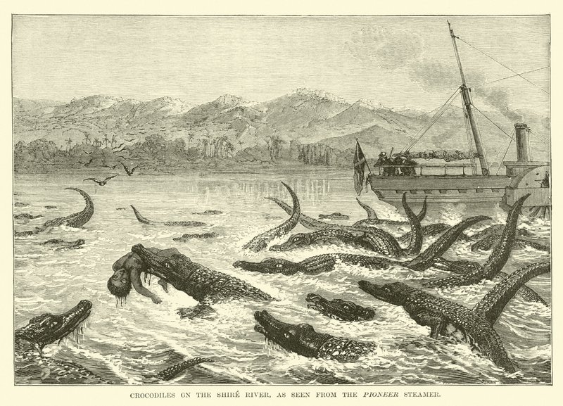 Crocodiles on the Shire River, as seen from the Pioneer Steamer by English School
