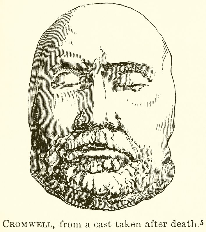 Cromwell, from a Cast taken after Death by English School