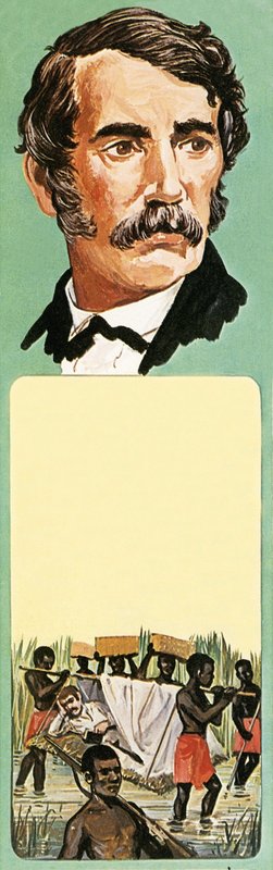 David Livingstone, explorer by English School