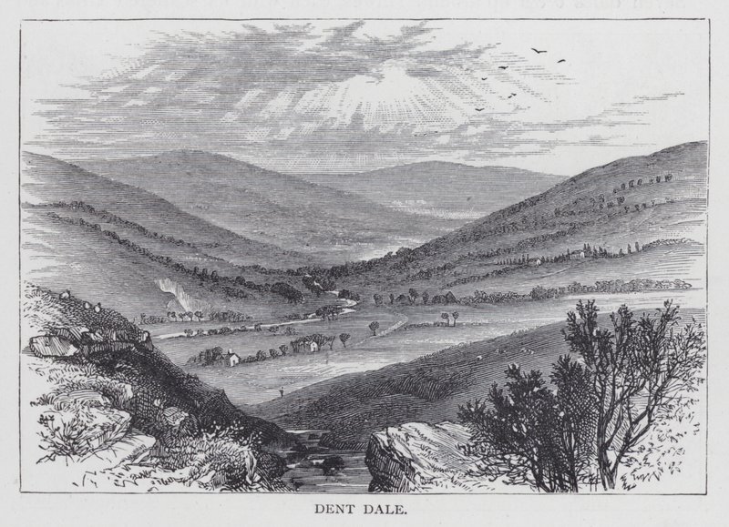Dent Dale by English School