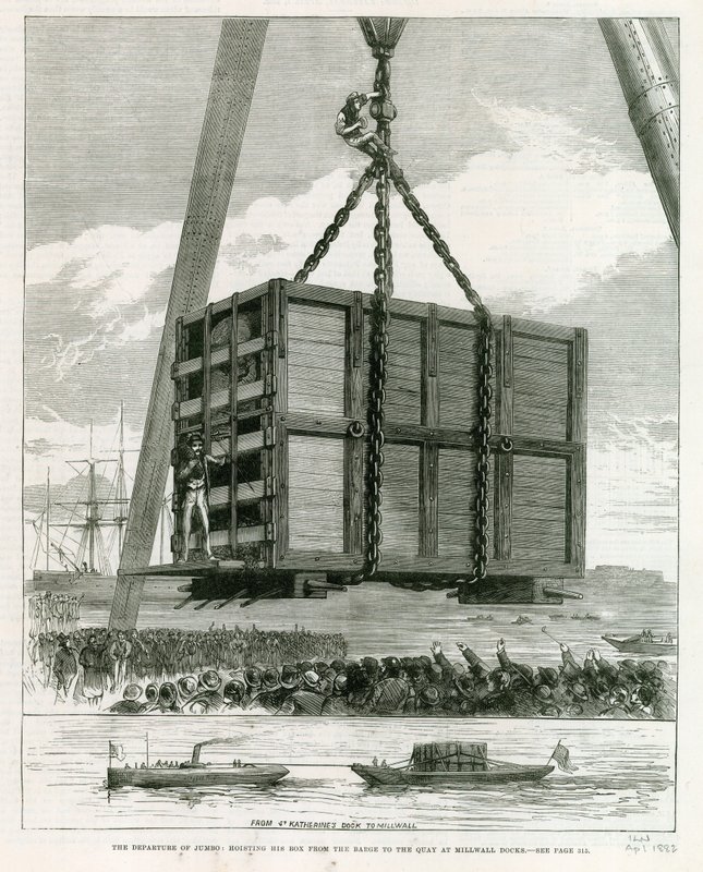 Departure of Jumbo by English School