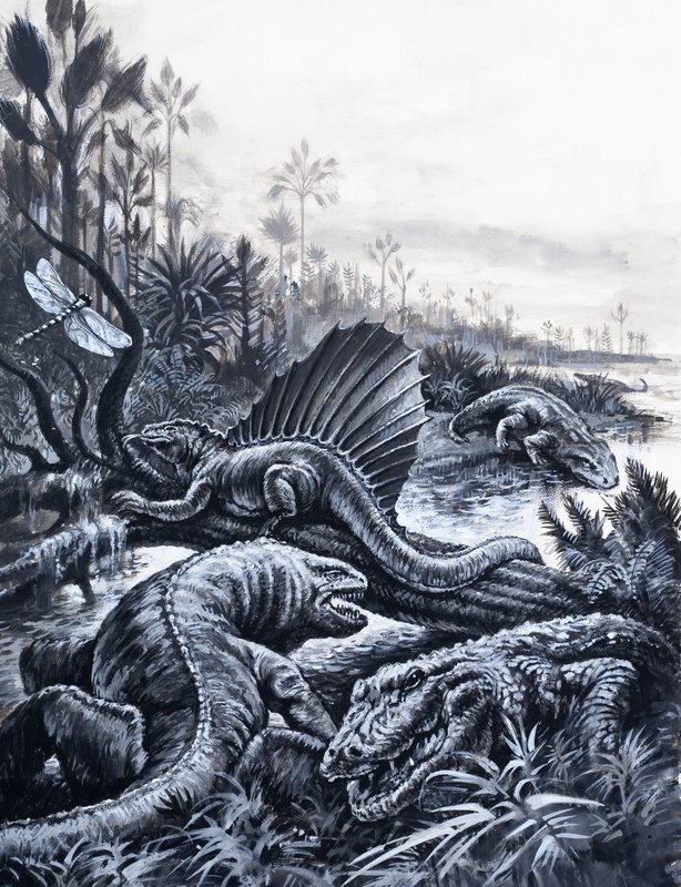Dinosaurs by English School