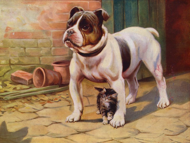 Dog and Kitten by English School