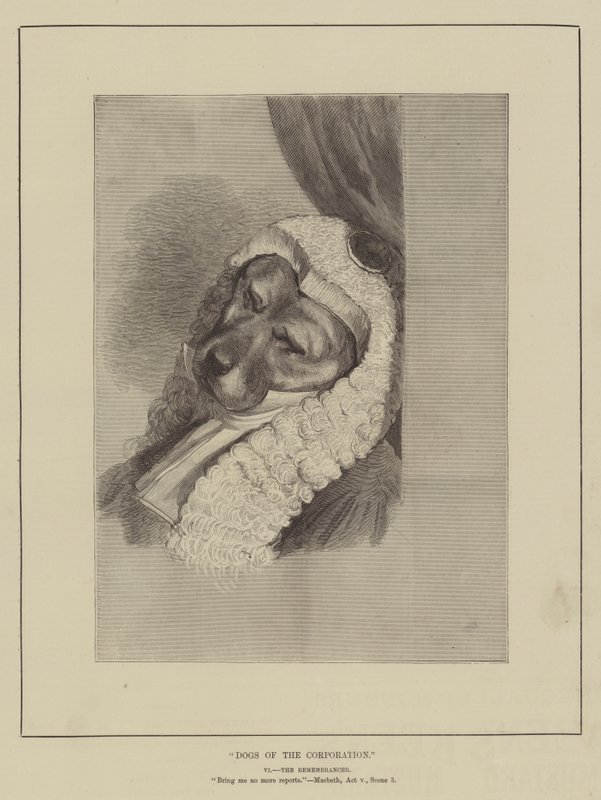 Dogs of the Corporation by English School