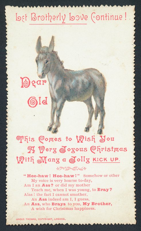 Donkey by English School