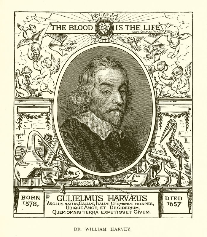Dr. William Harvey by English School