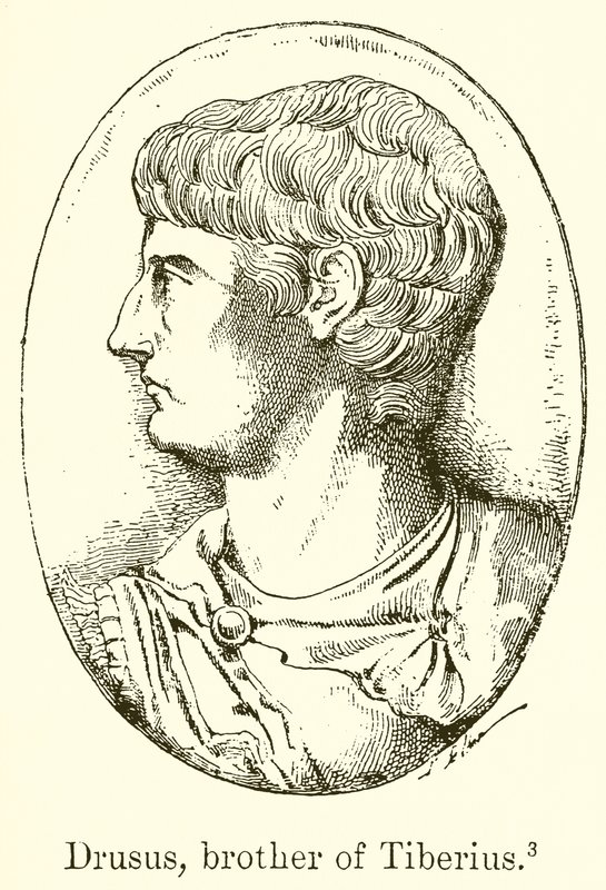 Drusus, Brother of Tiberius by English School