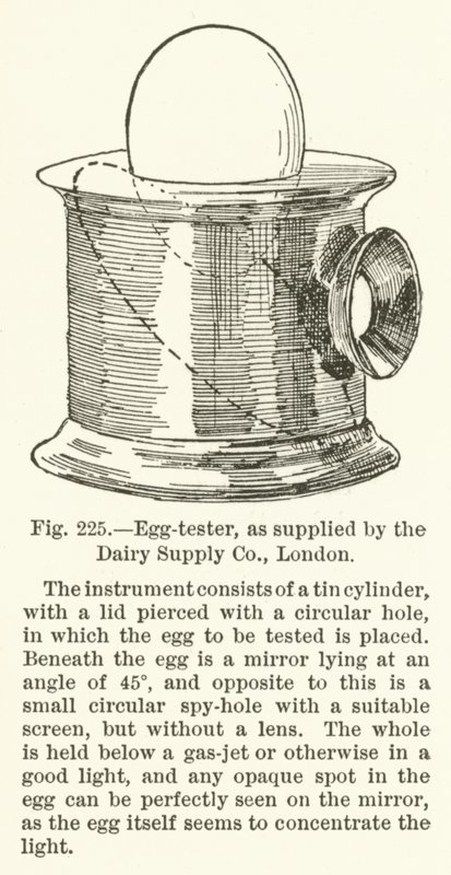 Egg-tester, as supplied by the Dairy Supply Company, London by English School