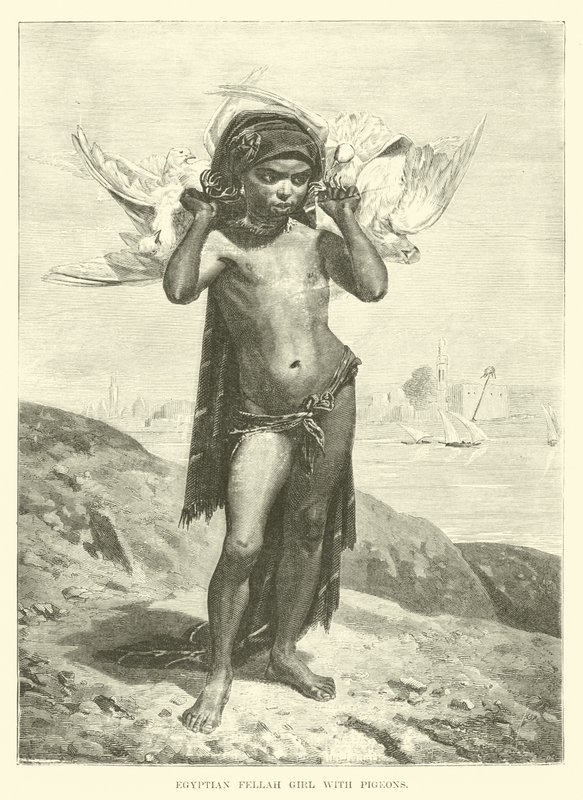 Egyptian Fellah Girl with Pigeons by English School