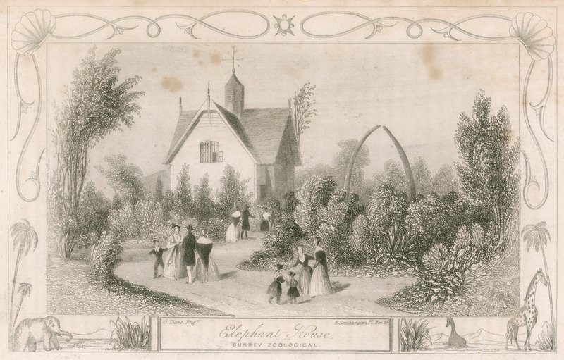 Elephant House at Surrey Zoological Gardens, London by English School