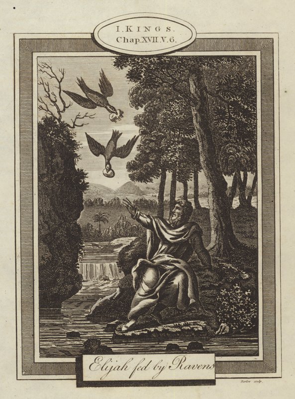 Elijah Fed by Ravens, I Kings, Chapter XVII, Verse 6 by English School