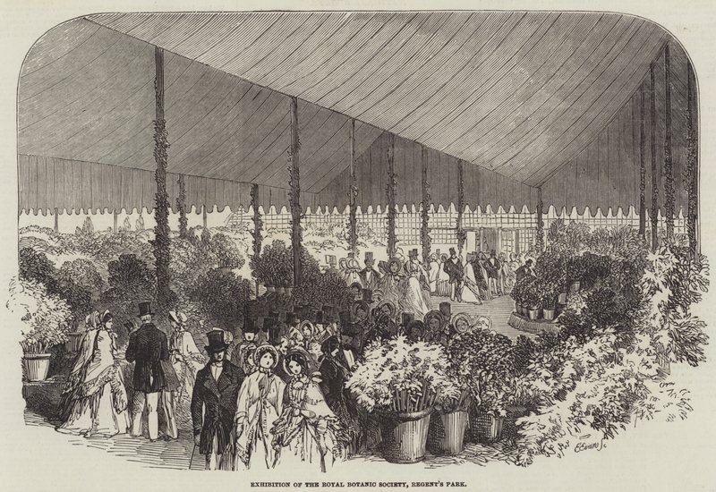 Exhibition of the Royal Botanic Society, Regent