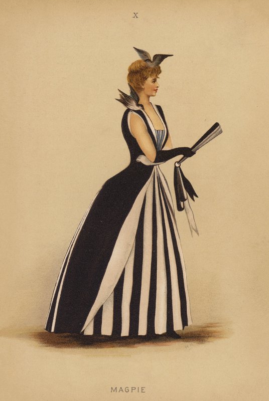 Fancy dress outfits: Magpie by English School