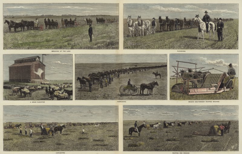 Farming on the plains of North America by English School