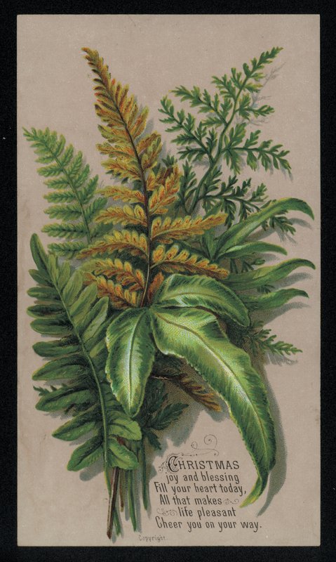 Festive leaf arrangement, Christmas card by English School